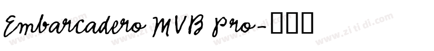 Embarcadero MVB Pro字体转换